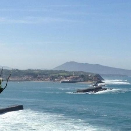 Elegant Appartement A St-Jean-De-Luz - Proche Plage & Commerces - Fr-1-239-851 サン＝ジャン＝ド＝リュズ エクステリア 写真